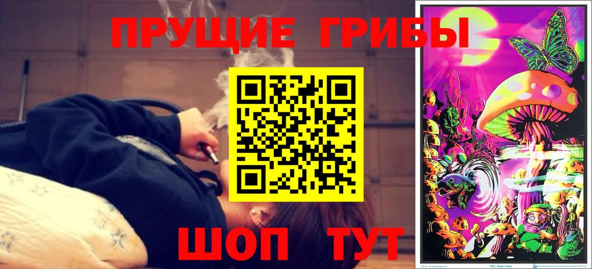 Галлюциногенные грибы прущие грибы  Вход с VPN  Карталы 