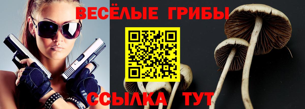 А ПВП Карталы